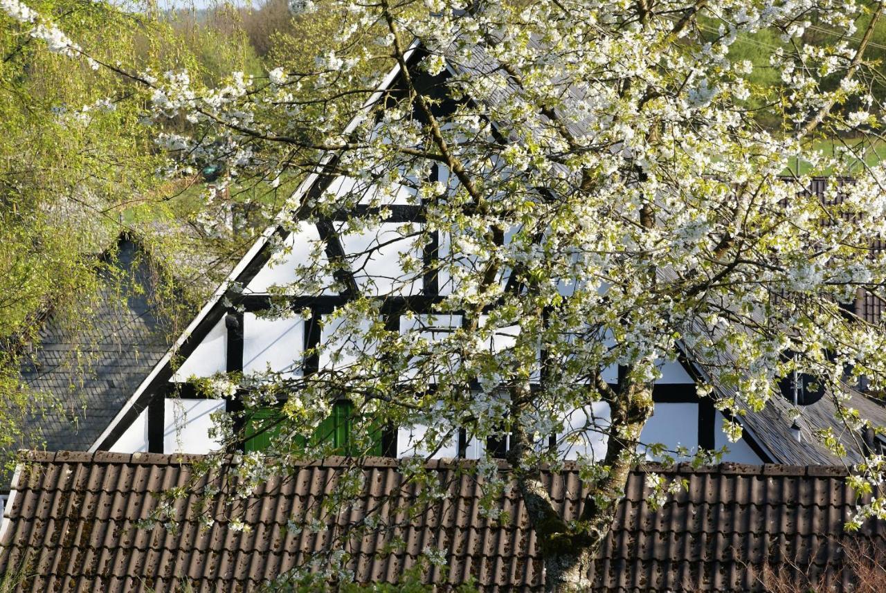 Gasthof Schumacher Hotel Garni Freudenberg  Extérieur photo